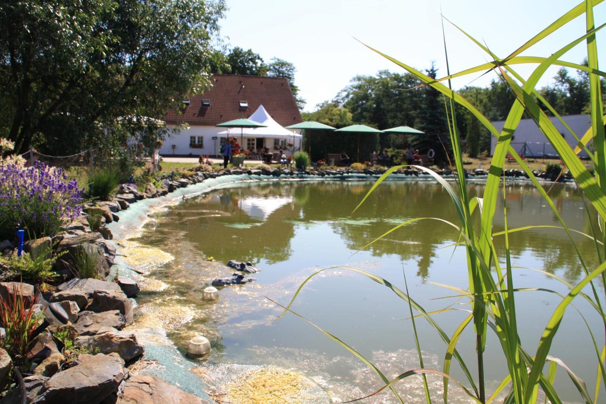 Hotel-Pension Am Muehlberg Lübbenau Esterno foto