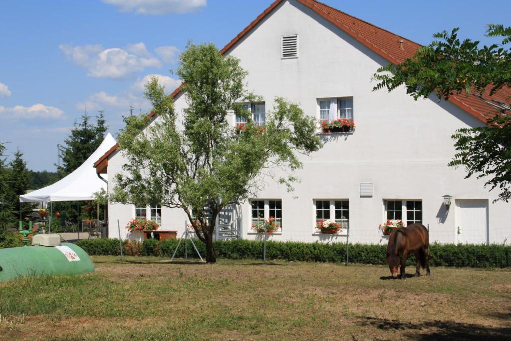 Hotel-Pension Am Muehlberg Lübbenau Camera foto